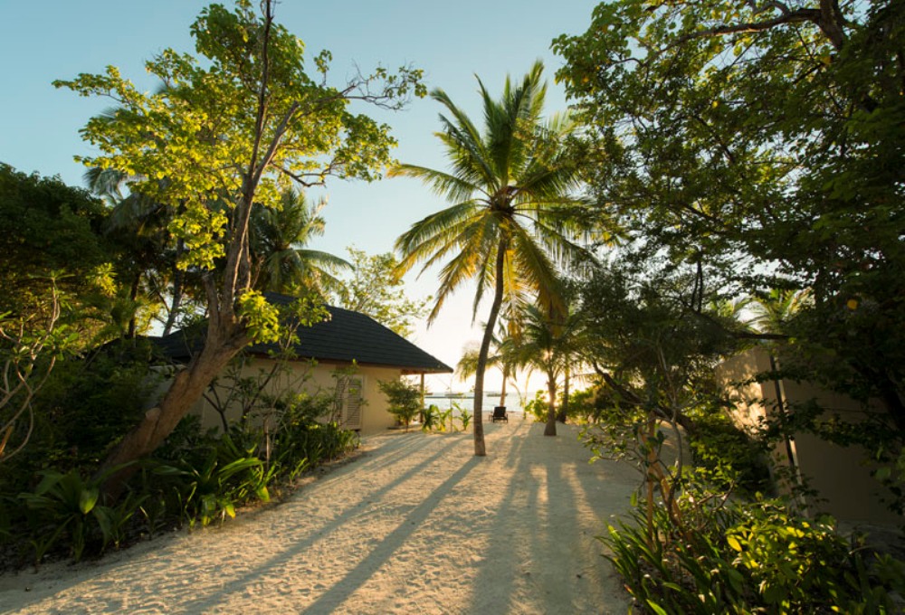 content/hotel/Summer Island Maldives/Accommodation/Premium Beach Villa/SummerIsland-Acc-PremiumBeachVilla-01.jpg